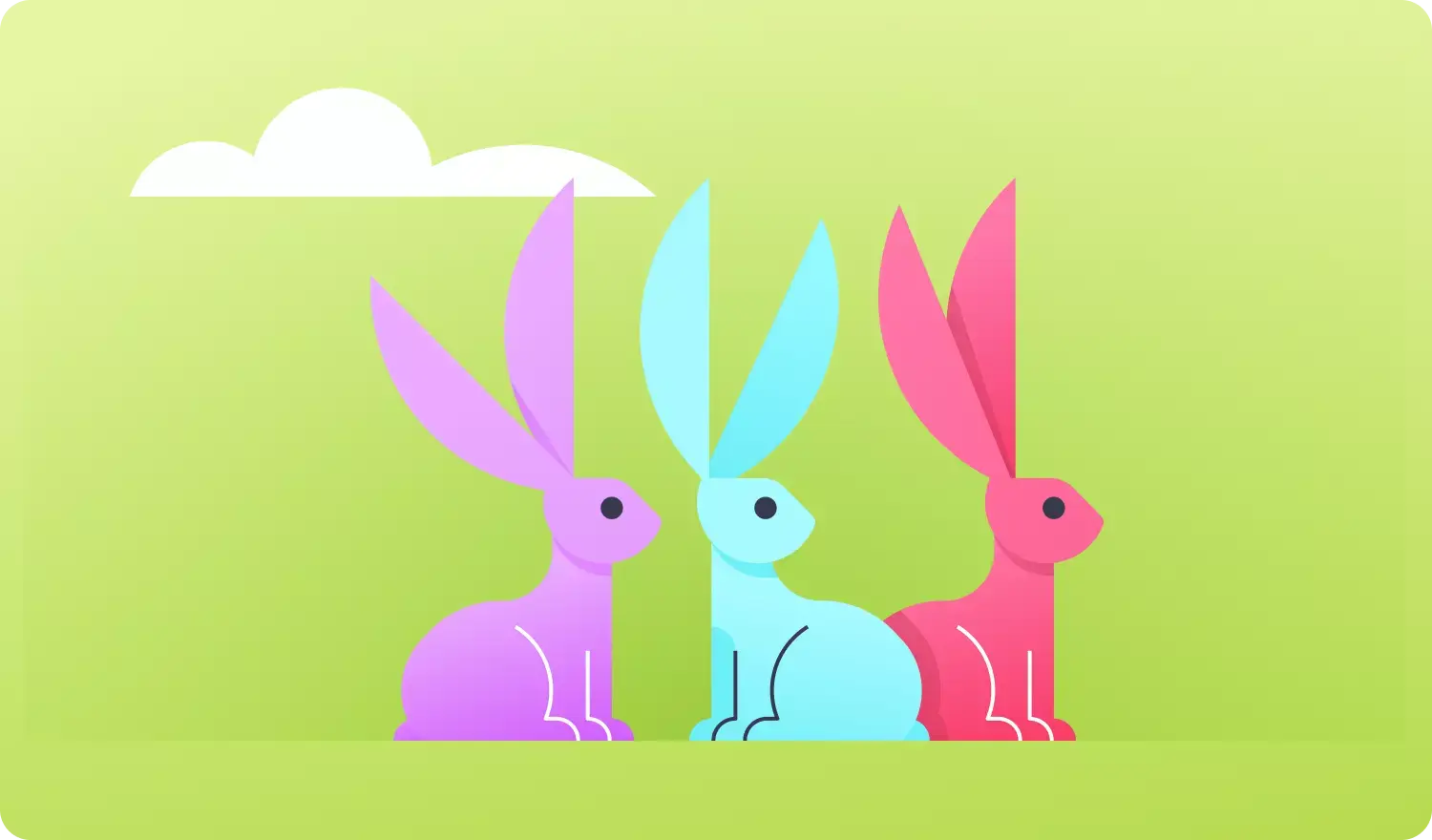 Rabbit Hero